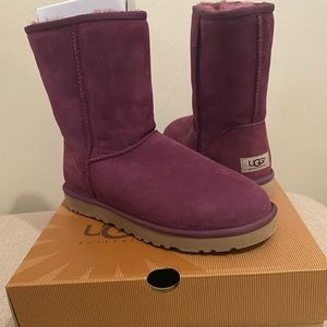 UGG short boot in Aster-NWT sticker